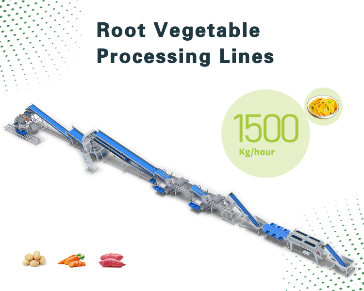 根茎类加工生产线