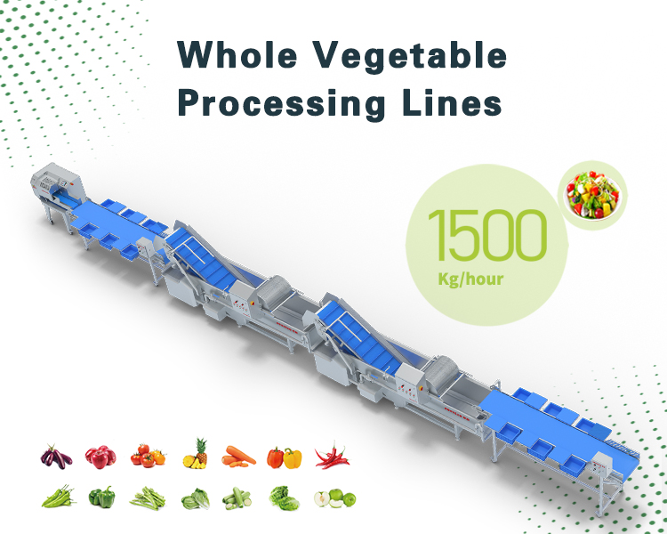 整颗菜综合类生产线 Comprehensive production line for whole vegetables